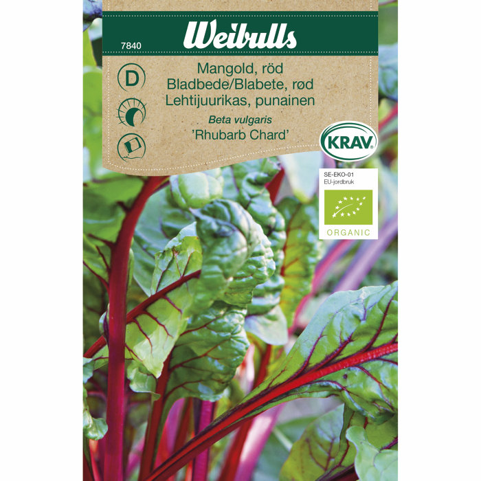 Bladbete, rød økologisk - Rhubarb Chard